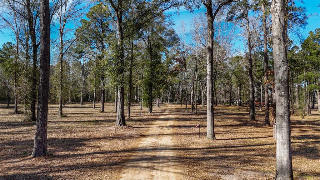 Tbd (lot 4) County Road 3545 Property Photo 20