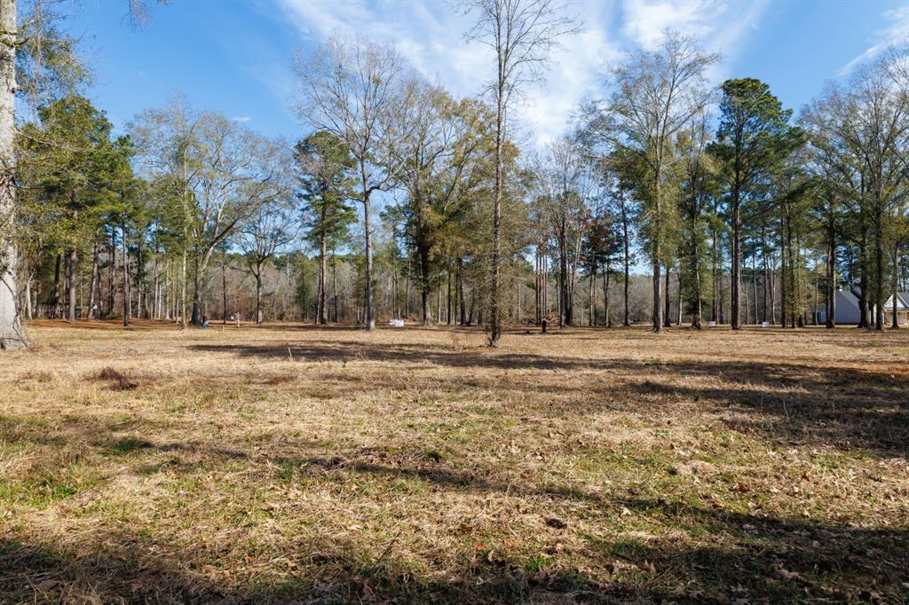 Tbd (lot 5) County Road 3545 Property Photo 16