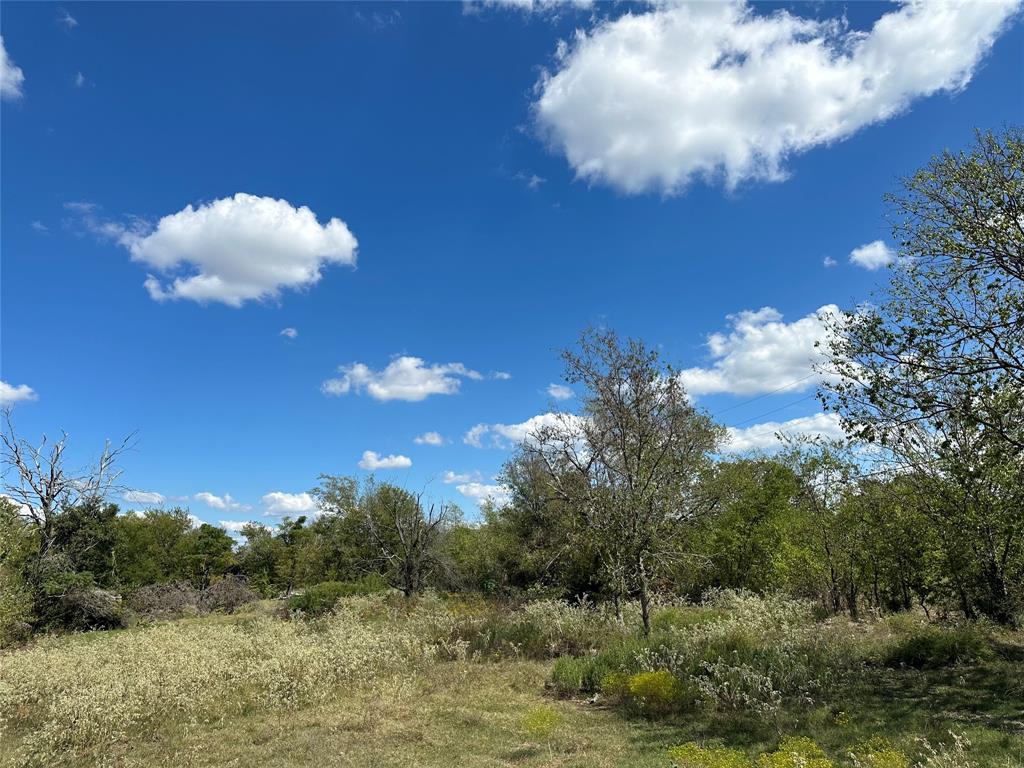 Tbd Lot 21 Frank Street Property Photo 1