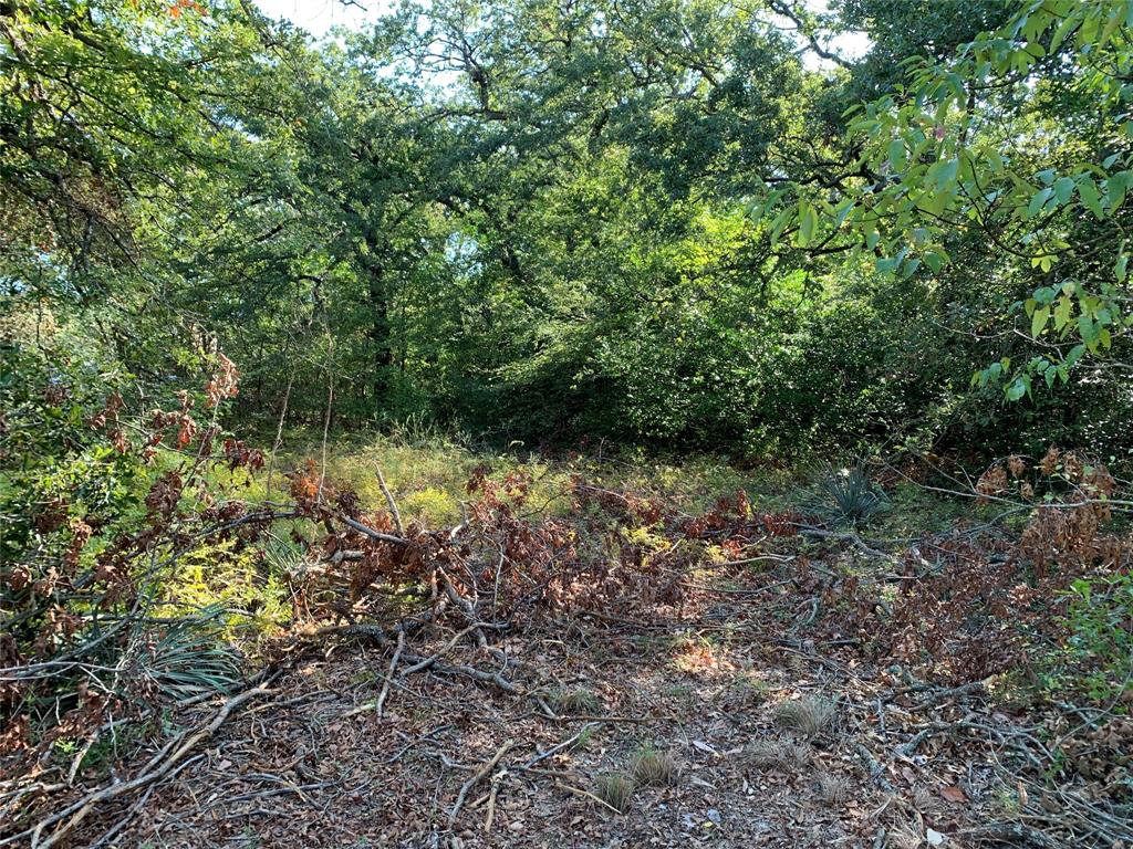 Tbd E State Highway 31 Property Photo 5
