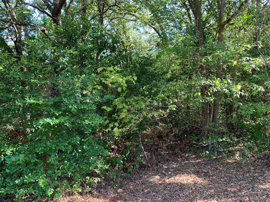Tbd E State Highway 31 Property Photo 6