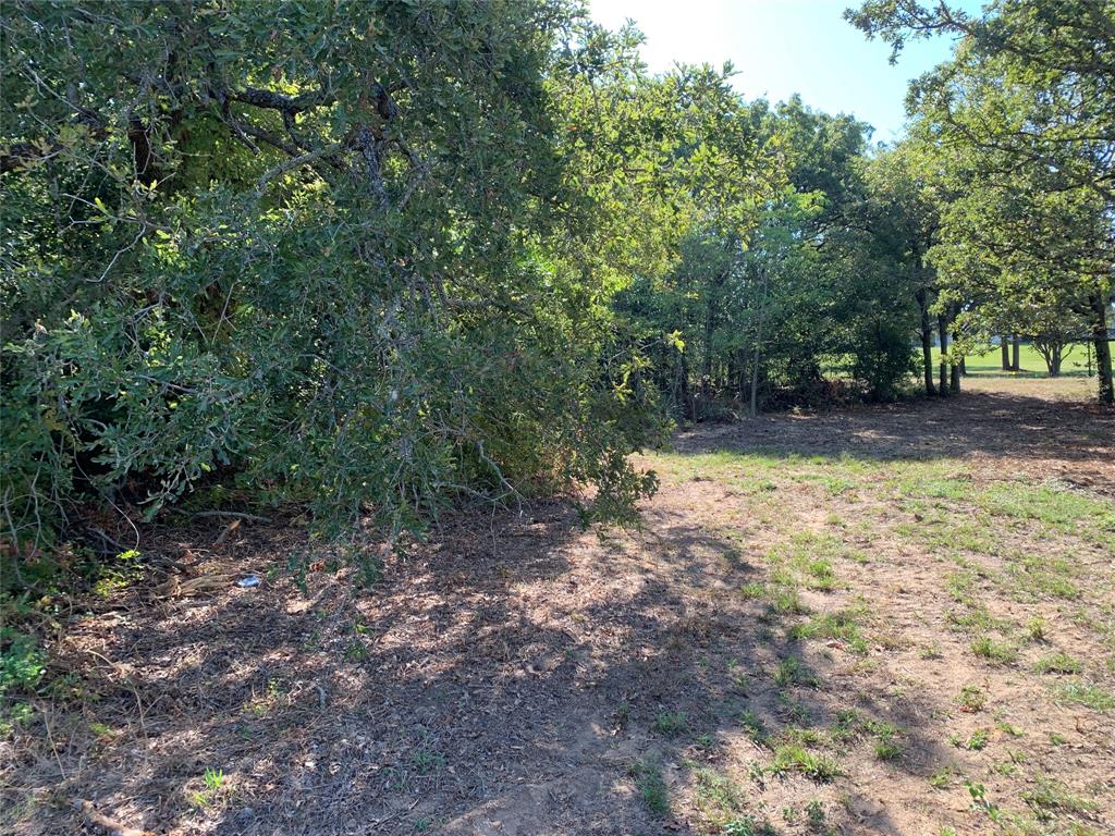 Tbd E State Highway 31 Property Photo 7