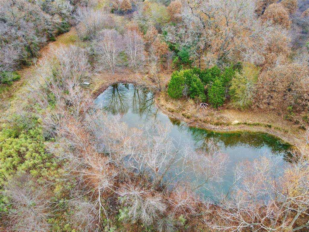 30 Acre County Road 2425 Property Photo 1