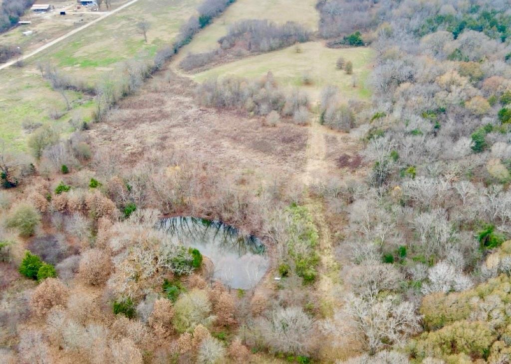 30 Acre County Road 2425 Property Photo 3