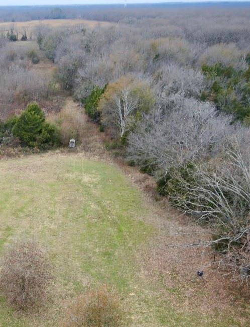 30 Acre County Road 2425 Property Photo 7
