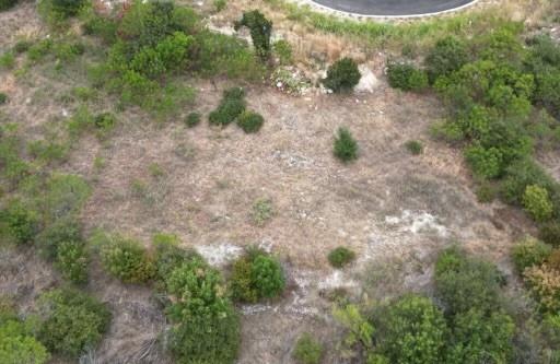 8432 Caradale Court Property Photo 1