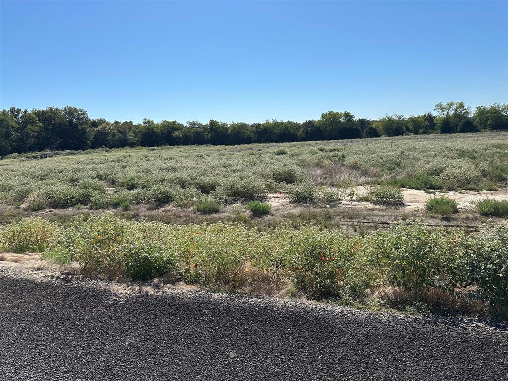 Lot 29 Willow Road Property Photo 1