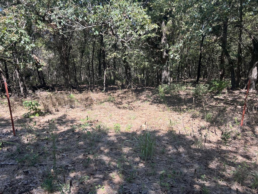 Lot 14 Lake Point Drive Property Photo 6