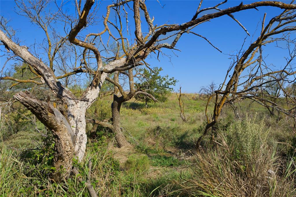Tbd Hwy 81 Property Photo 6
