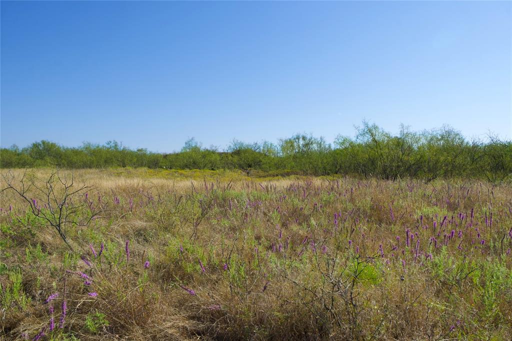 Tbd Hwy 81 Property Photo 8