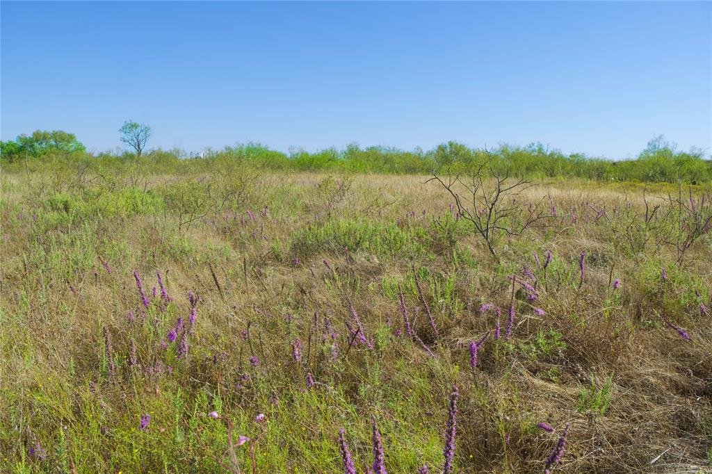 Tbd Hwy 81 Property Photo 9