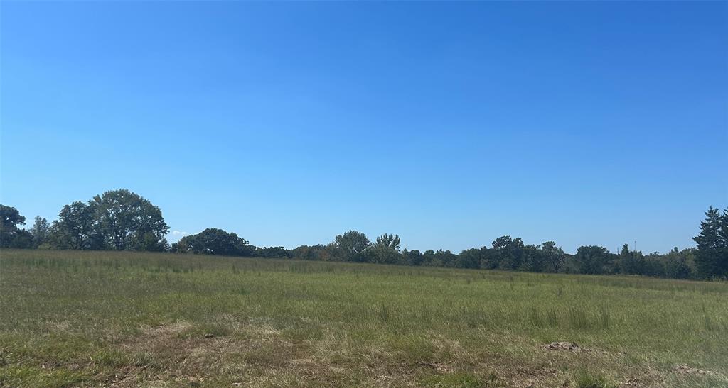0000 Fm 607 S Property Photo 2
