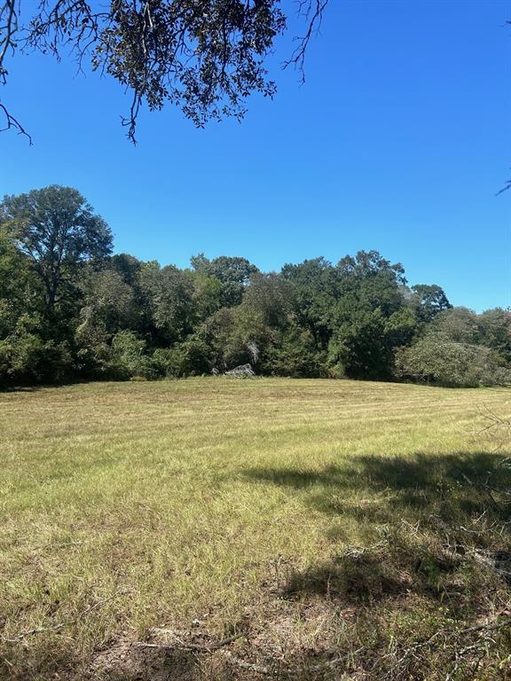 0000 Fm 607 S Property Photo 3