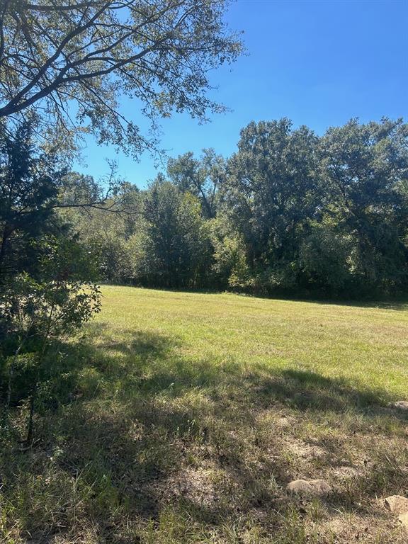 0000 Fm 607 S Property Photo 4