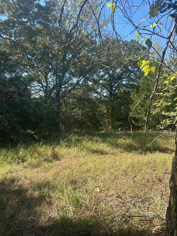 0000 Fm 607 S Property Photo 5