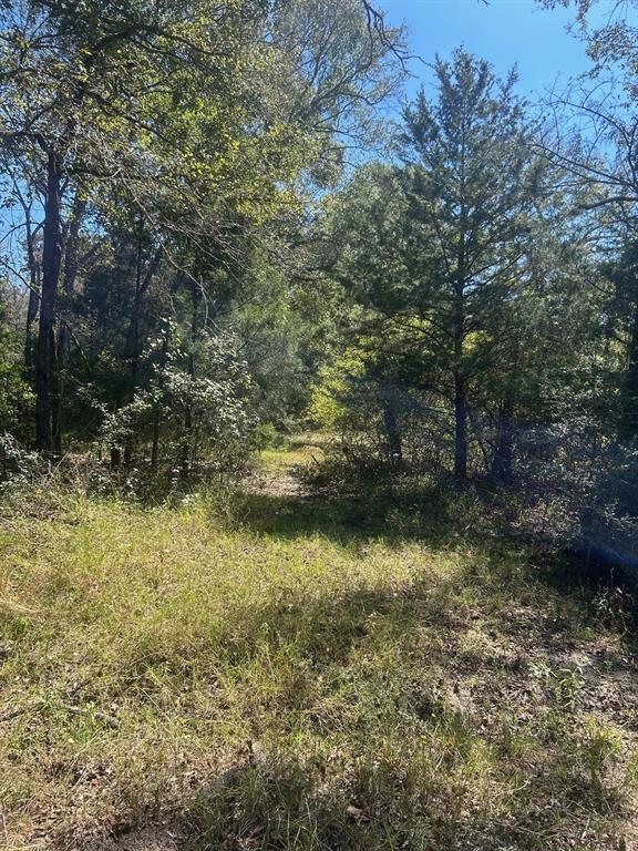 0000 Fm 607 S Property Photo 6