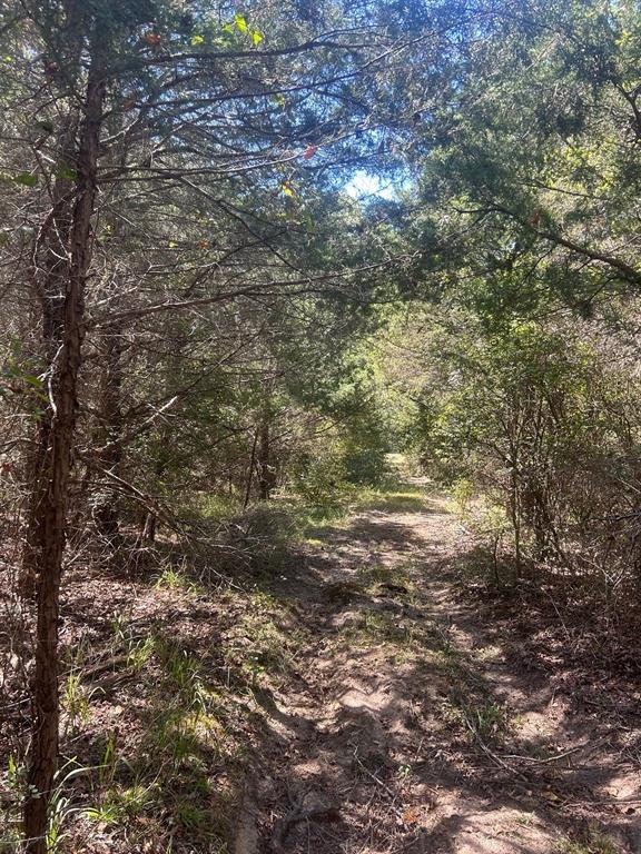 0000 Fm 607 S Property Photo 7