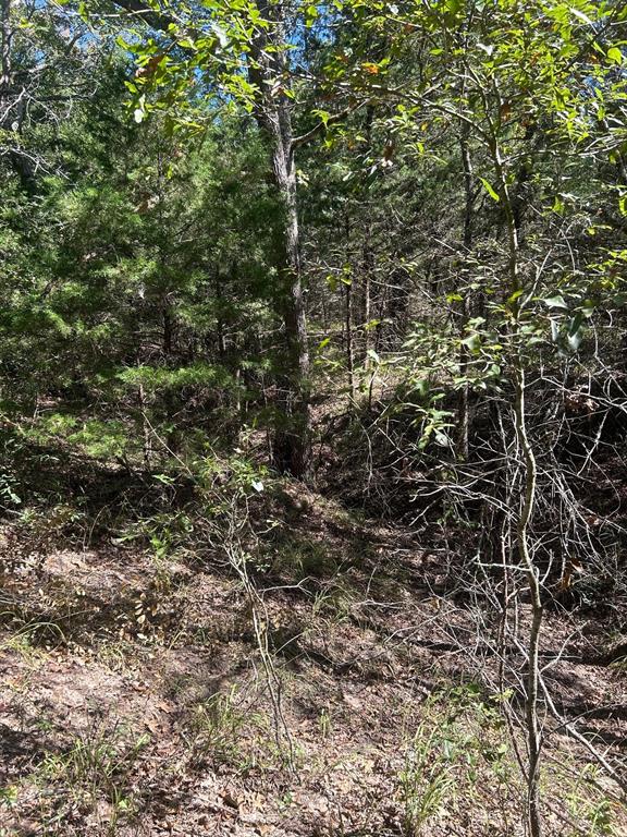 0000 Fm 607 S Property Photo 8