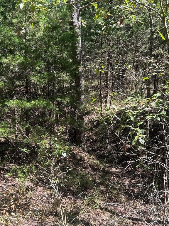 0000 Fm 607 S Property Photo 9