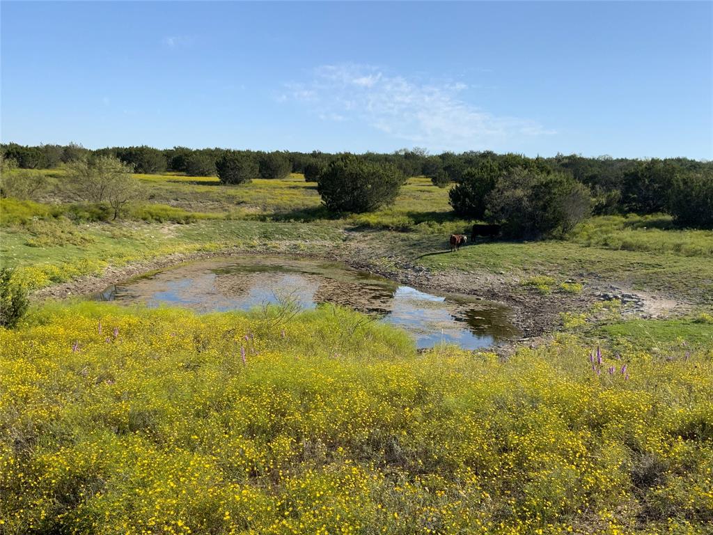 Tbd County Road 386 Property Photo 19