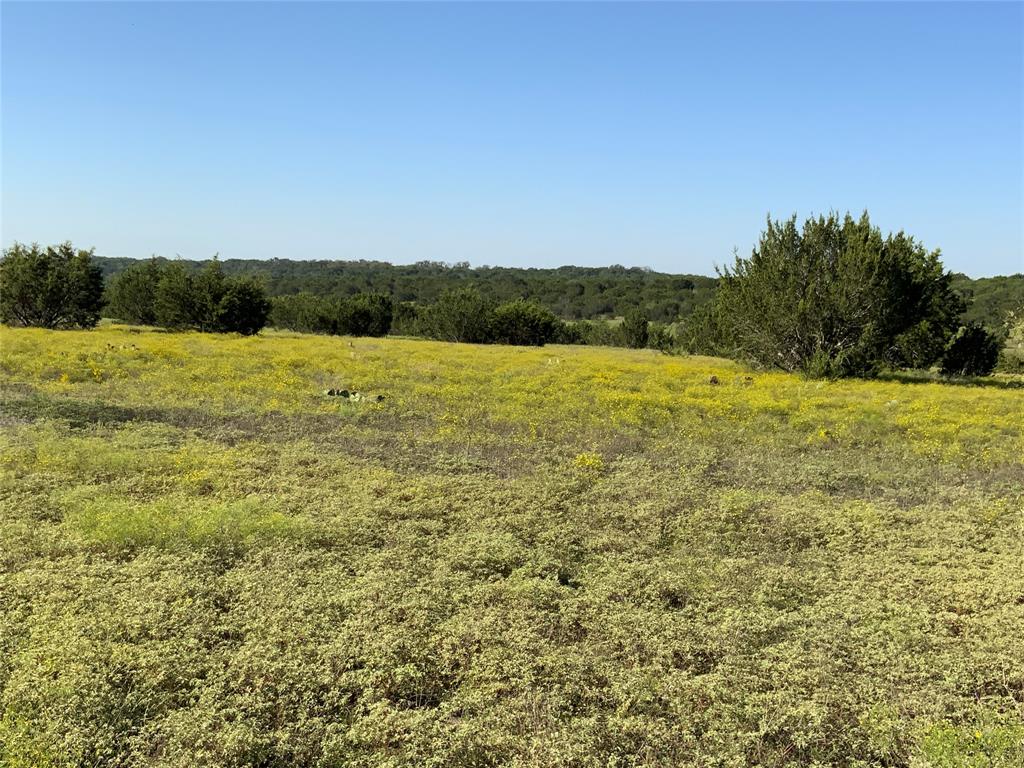 Tbd County Road 386 Property Photo 21