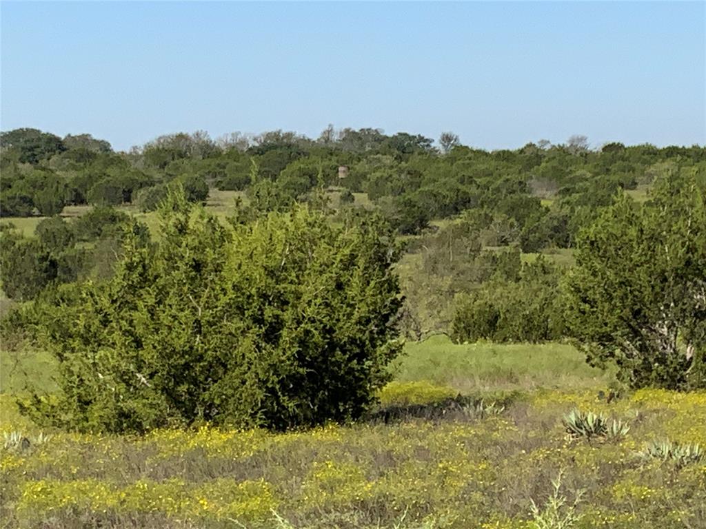 Tbd County Road 386 Property Photo 22