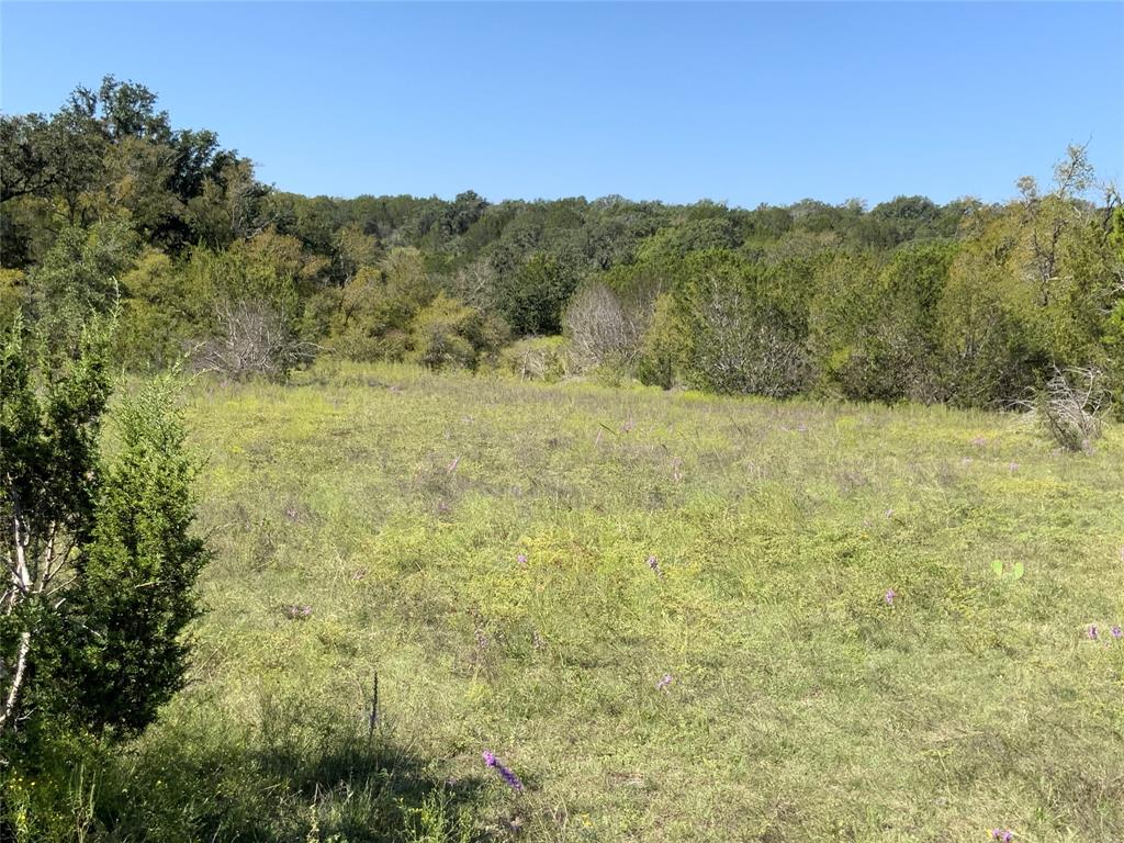 Tbd County Road 386 Property Photo 26