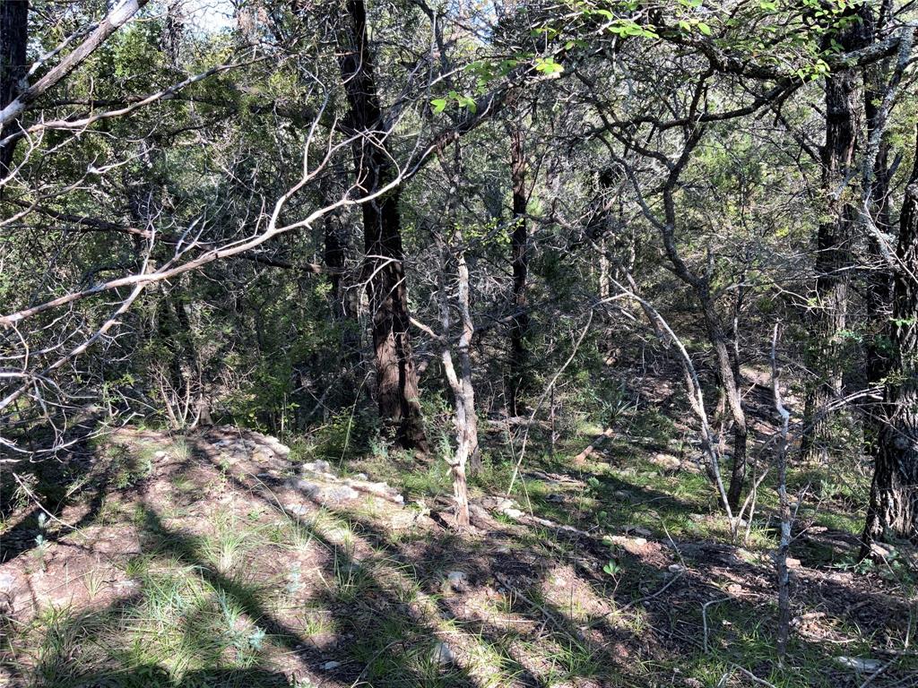 Tbd County Road 386 Property Photo 28
