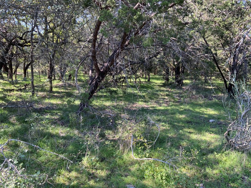 Tbd County Road 386 Property Photo 29