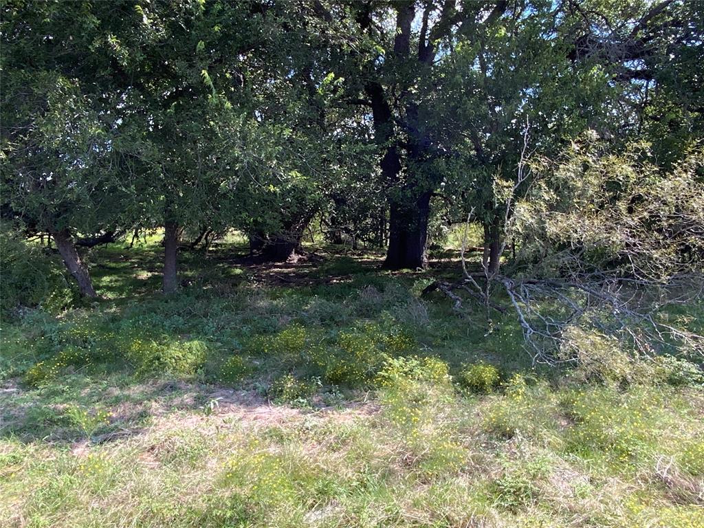 Tbd County Road 386 Property Photo 32