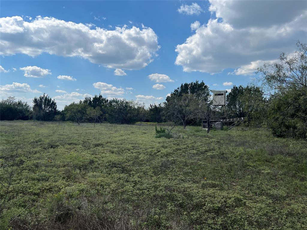 Tbd County Road 386 Property Photo 34