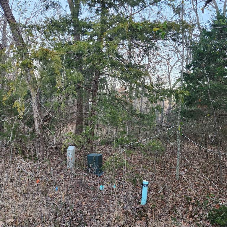 904 Hillburn Drive Property Photo 2