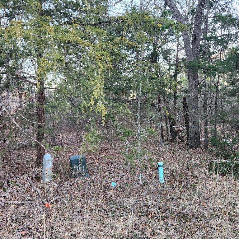 904 Hillburn Drive Property Photo 3