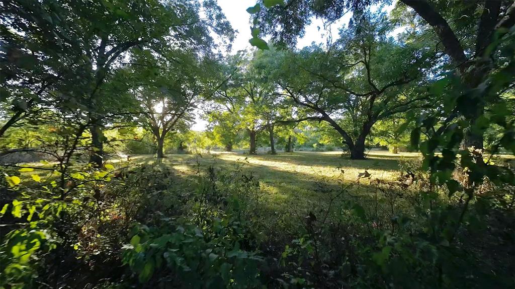 Tbd Orr Road Property Photo 2