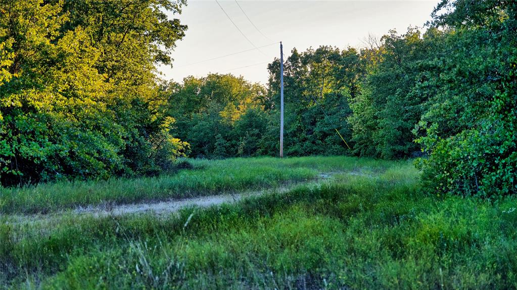 Tbd Orr Road Property Photo 16