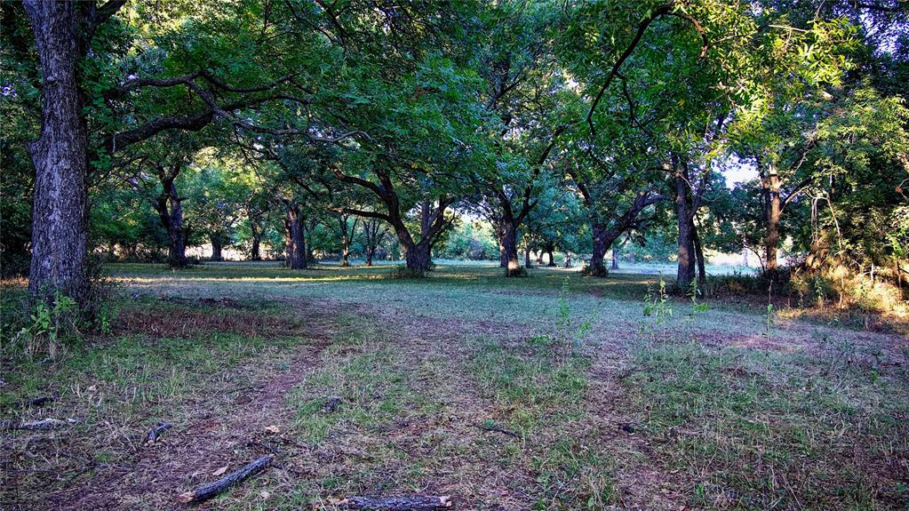 Tbd Orr Road Property Photo 17