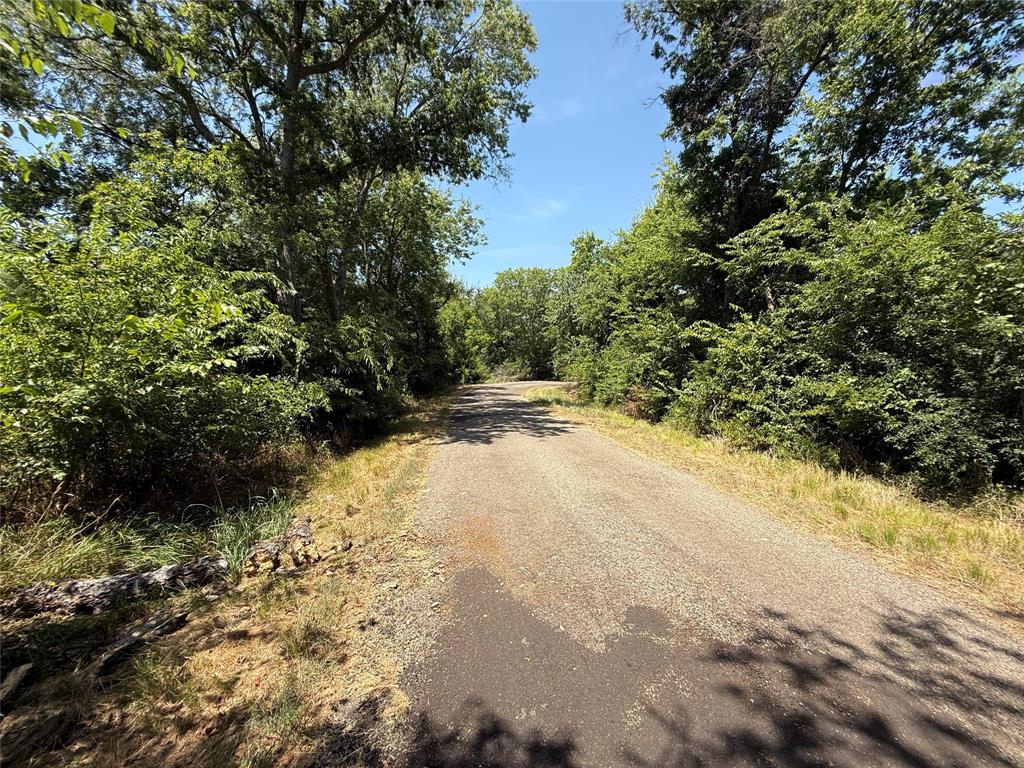 59 County Road 4719 Property Photo 2