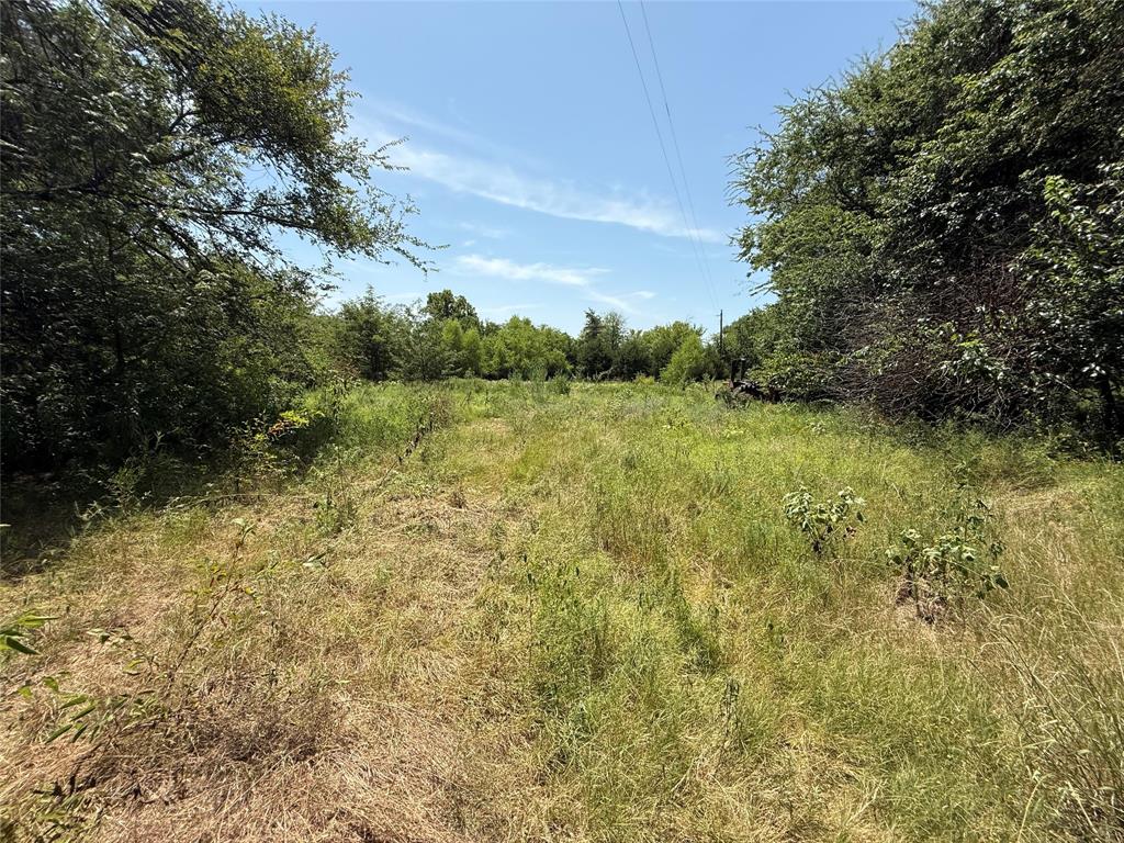 59 County Road 4719 Property Photo 6