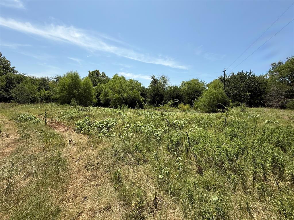 59 County Road 4719 Property Photo 8