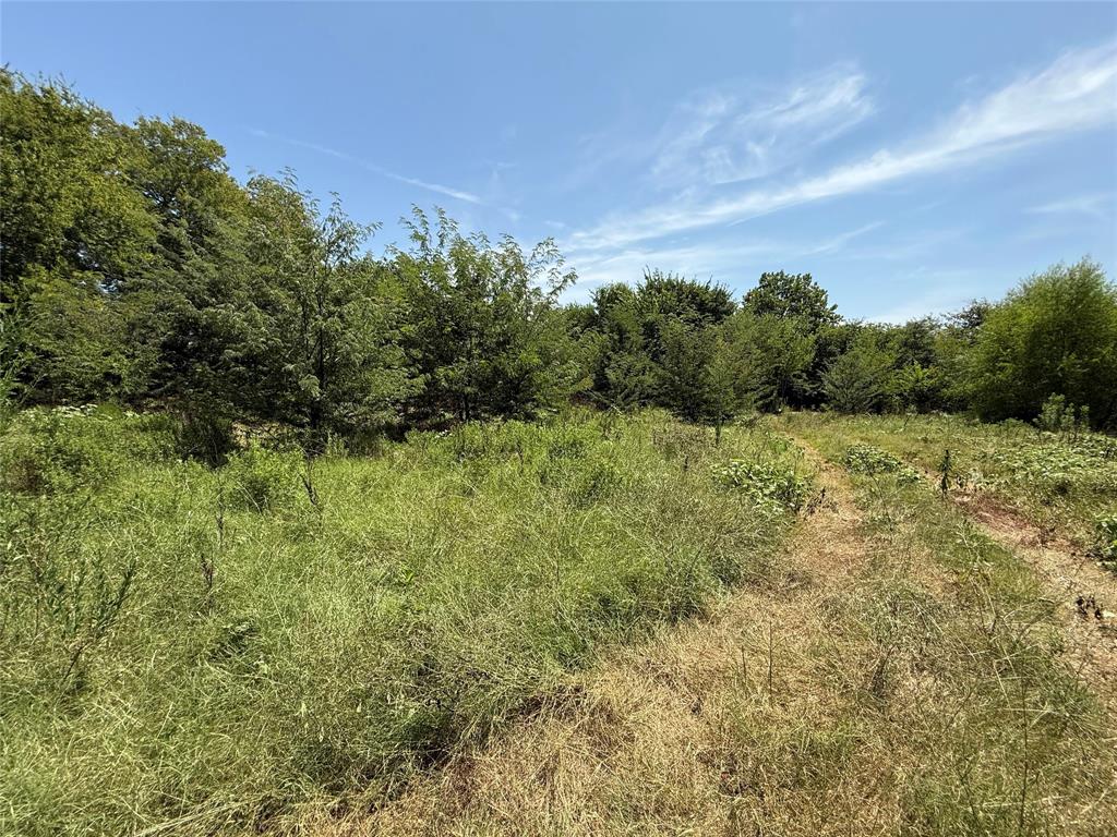 59 County Road 4719 Property Photo 9