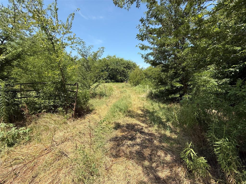 59 County Road 4719 Property Photo 10