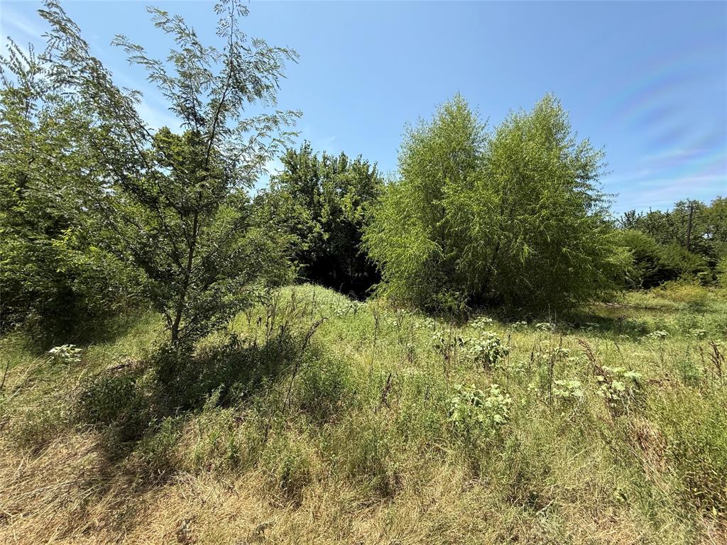 59 County Road 4719 Property Photo 11