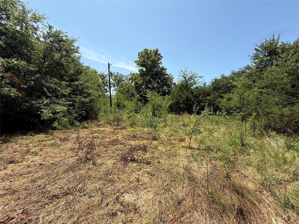 59 County Road 4719 Property Photo 13