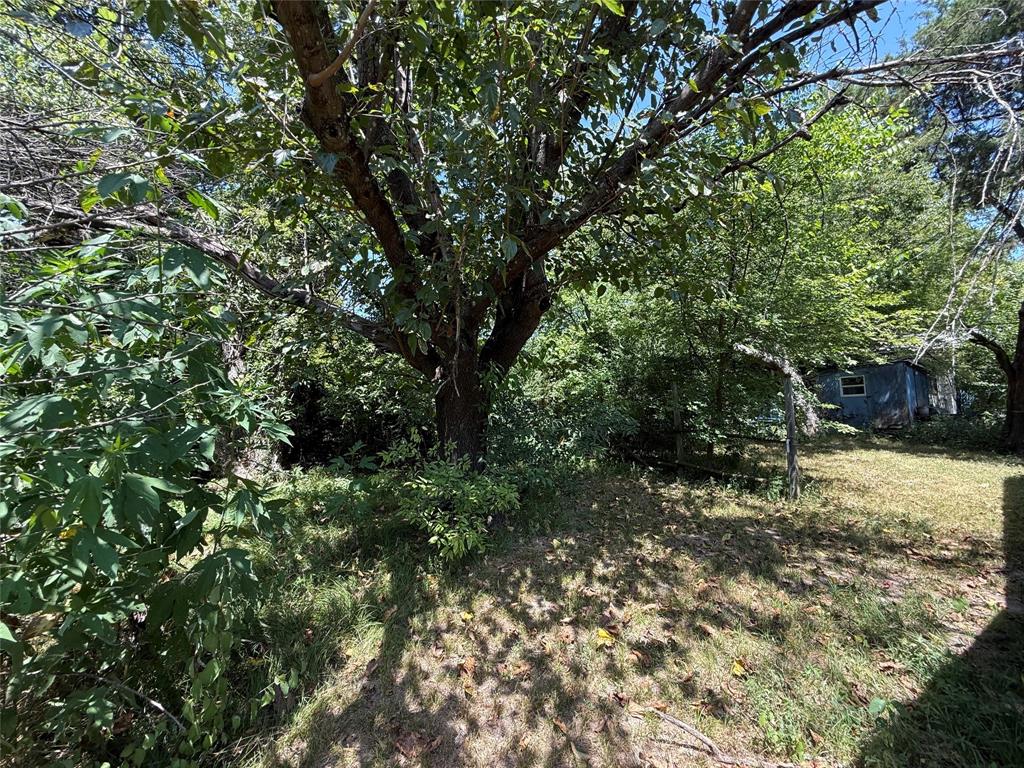 59 County Road 4719 Property Photo 14