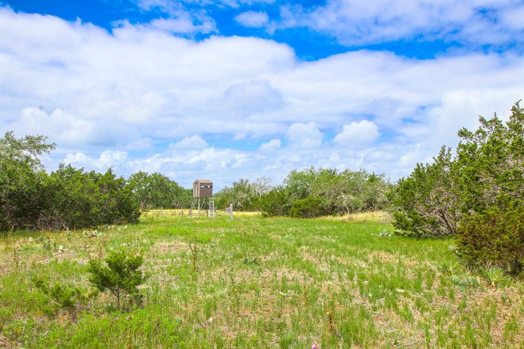 230 Old Roeder Property Photo 18