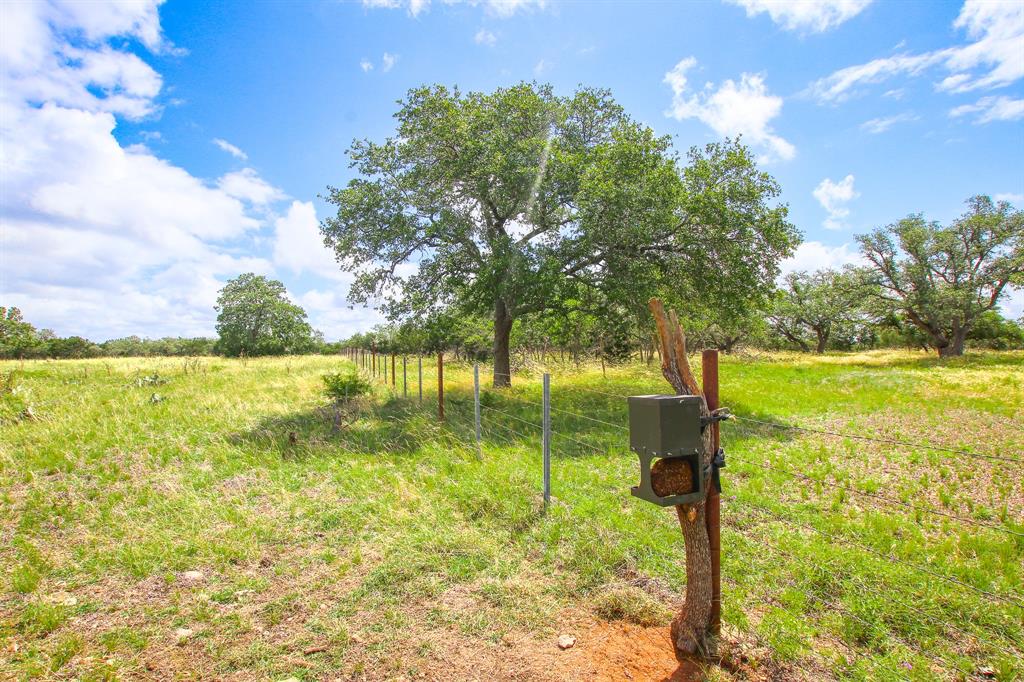 230 Old Roeder Property Photo 20