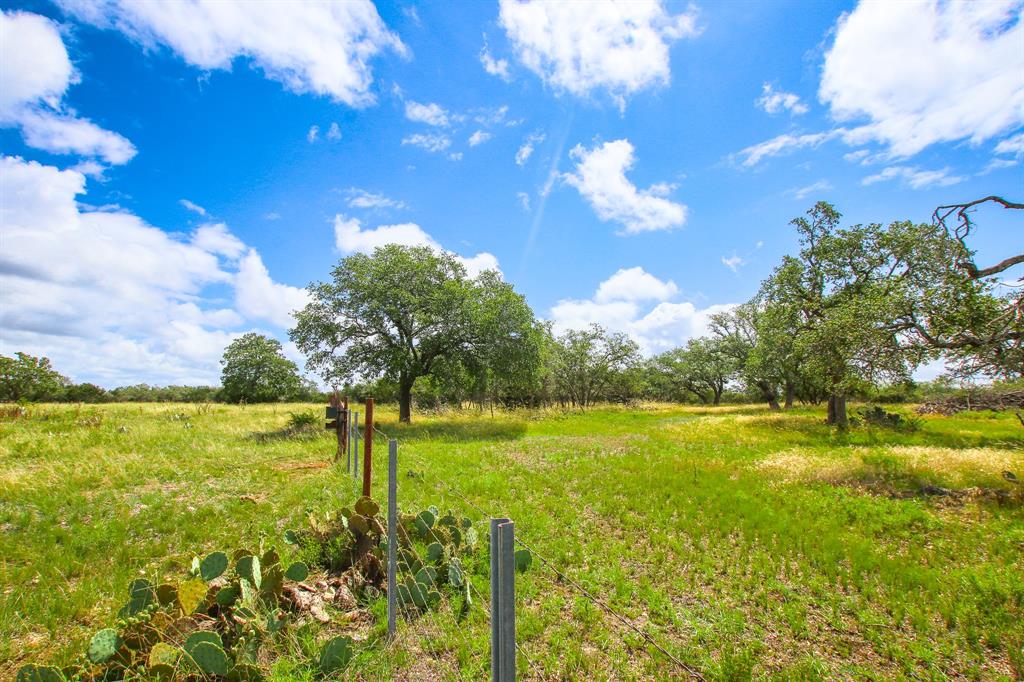 230 Old Roeder Property Photo 22