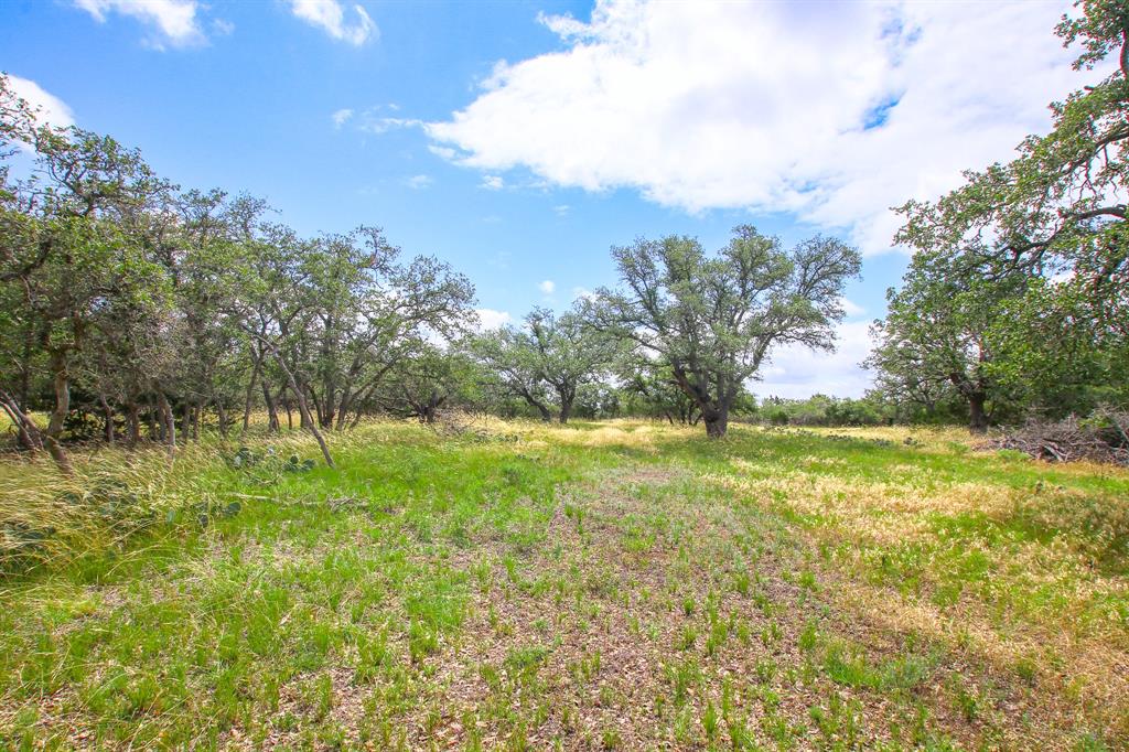 230 Old Roeder Property Photo 23