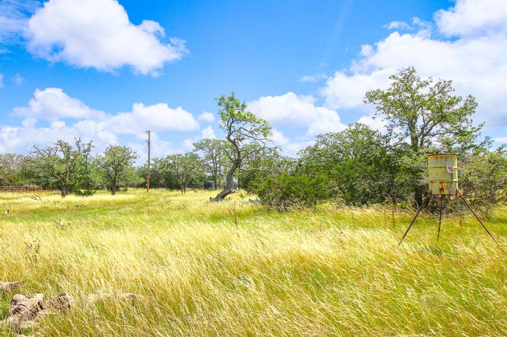 230 Old Roeder Property Photo 25