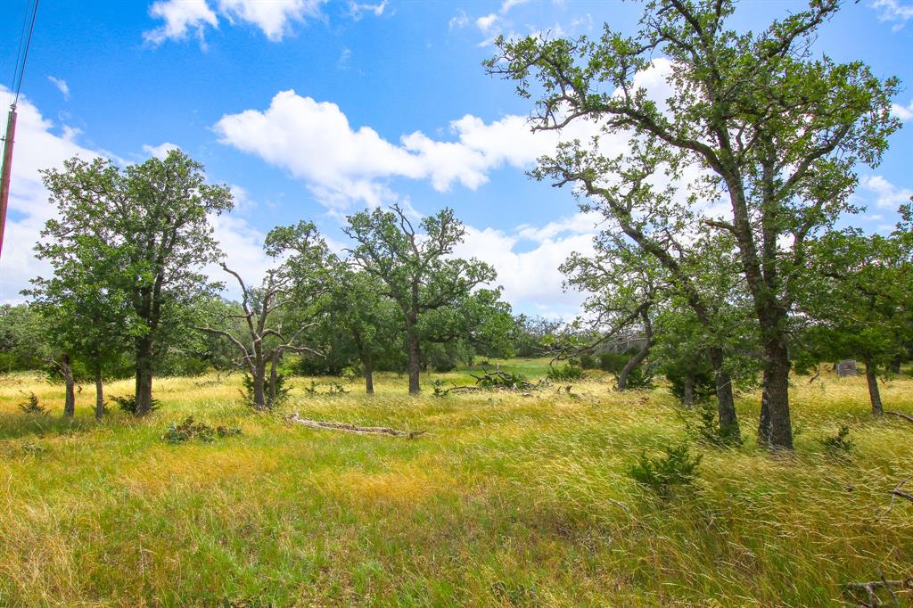 230 Old Roeder Property Photo 33